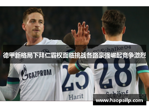 德甲新格局下拜仁霸权面临挑战各路豪强崛起竞争激烈