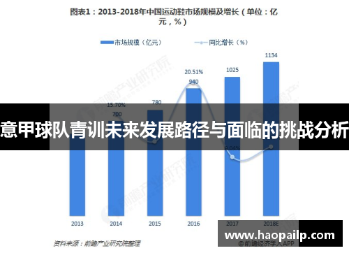 意甲球队青训未来发展路径与面临的挑战分析