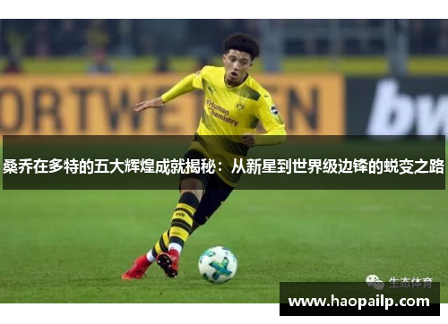 桑乔在多特的五大辉煌成就揭秘：从新星到世界级边锋的蜕变之路