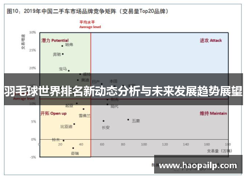 羽毛球世界排名新动态分析与未来发展趋势展望