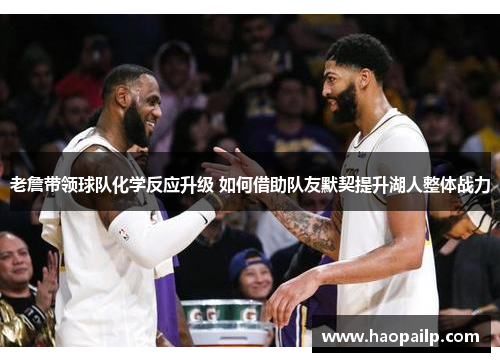 老詹带领球队化学反应升级 如何借助队友默契提升湖人整体战力