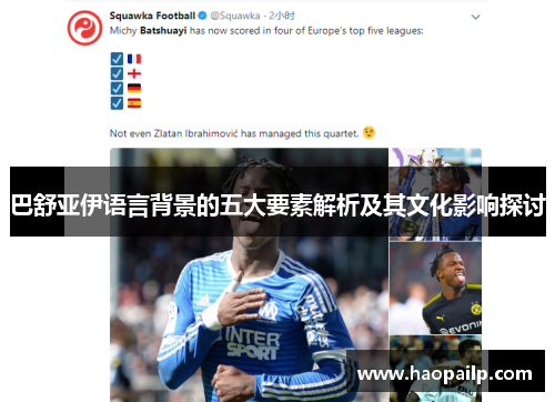巴舒亚伊语言背景的五大要素解析及其文化影响探讨 巴舒亚伊语言背景的五大要素解析及其文化影响探讨