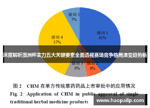 深度解析澳洲杯实力五大关键要素全面透视赛场竞争格局演变趋势新